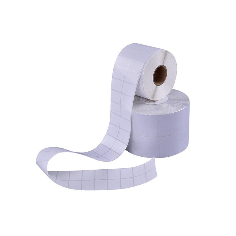 Yeşil Baskı, Akıllı Gelecek – Termal Transfer Etiketleri İşletmelerin Maliyetleri Düşürmesine ve Verimliliği Artırmasına Nasıl Yardımcı Olur?